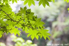 岳麓區(qū)網(wǎng)站建站公司哪家好？